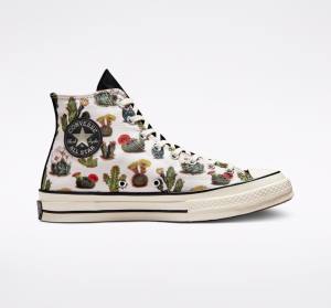 Converse Chuck 70 Succulents Sneakers High Sort | CV-491KHT