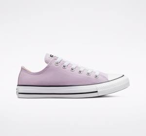 Converse Chuck Taylor All Star Seasonal Color Sneakers Low Lavendel | CV-165OAT