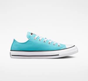 Converse Chuck Taylor All Star Seasonal Color Sneakers Low Blå Hvide Sort | CV-354NRV