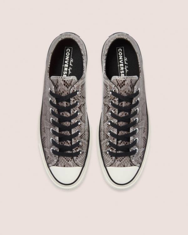 Converse Chuck 70 Reptile Ruskind Sneakers Low Grå | CV-260UHV