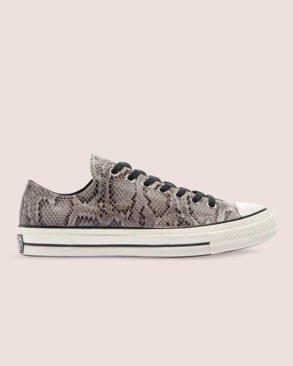 Converse Chuck 70 Reptile Ruskind Sneakers Low Grå | CV-260UHV