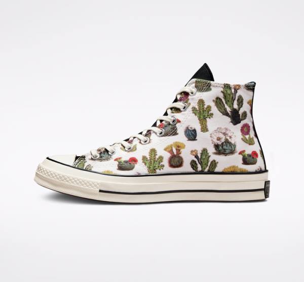 Converse Chuck 70 Succulents Sneakers High Sort | CV-491KHT