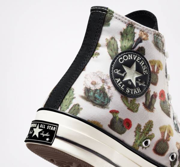 Converse Chuck 70 Succulents Sneakers High Sort | CV-491KHT