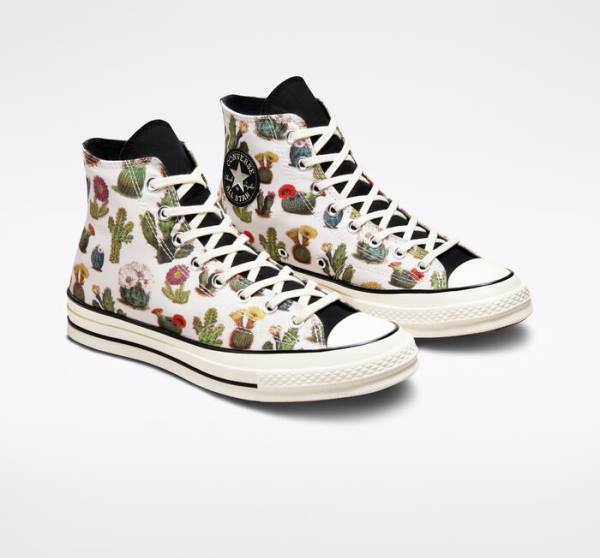 Converse Chuck 70 Succulents Sneakers High Sort | CV-491KHT