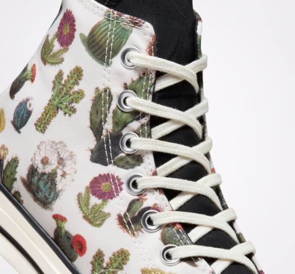 Converse Chuck 70 Succulents Sneakers High Sort | CV-491KHT