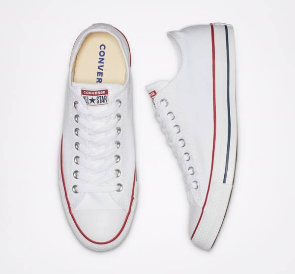 Converse Chuck Taylor All Star Classic Sneakers Low Hvide | CV-170AKP