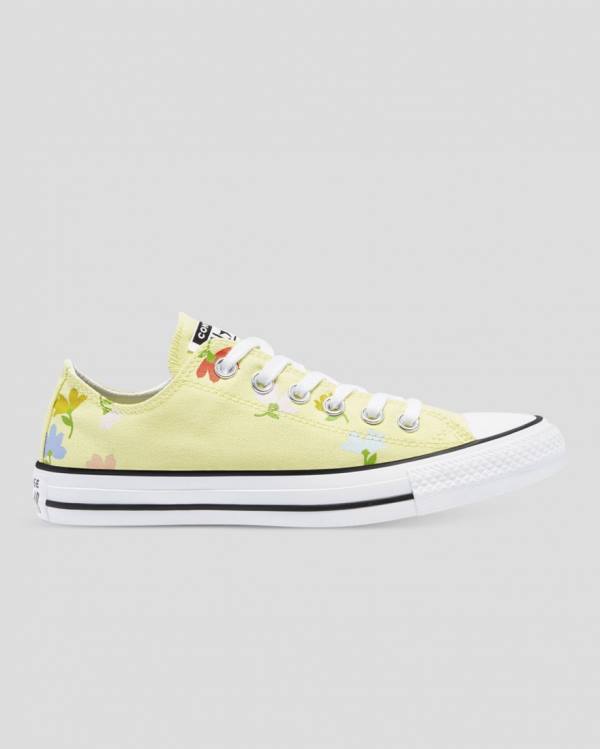 Converse Chuck Taylor All Star Garden Party Sneakers Low Gul | CV-913GUQ