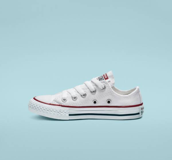 Converse Chuck Taylor All Star Optical White Sneakers Low Hvide | CV-456NPK