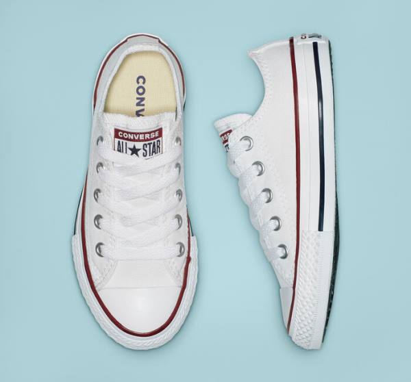 Converse Chuck Taylor All Star Optical White Sneakers Low Hvide | CV-456NPK