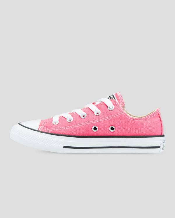 Converse Chuck Taylor All Star Seasonal Colour Sneakers Low Lyserød | CV-153XQW