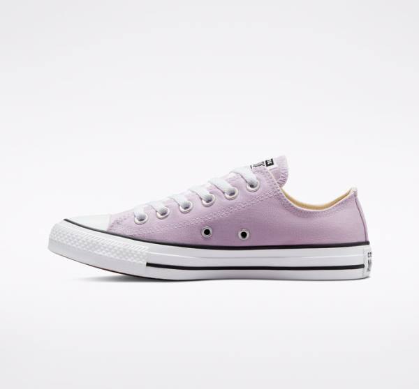 Converse Chuck Taylor All Star Seasonal Color Sneakers Low Lavendel | CV-165OAT