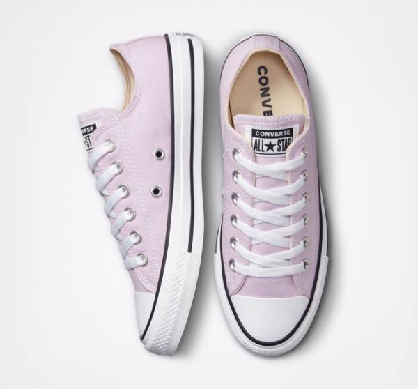 Converse Chuck Taylor All Star Seasonal Color Sneakers Low Lavendel | CV-165OAT