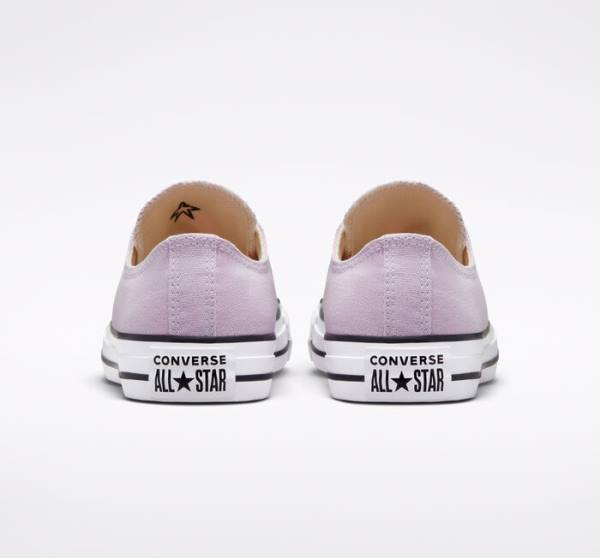 Converse Chuck Taylor All Star Seasonal Color Sneakers Low Lavendel | CV-165OAT