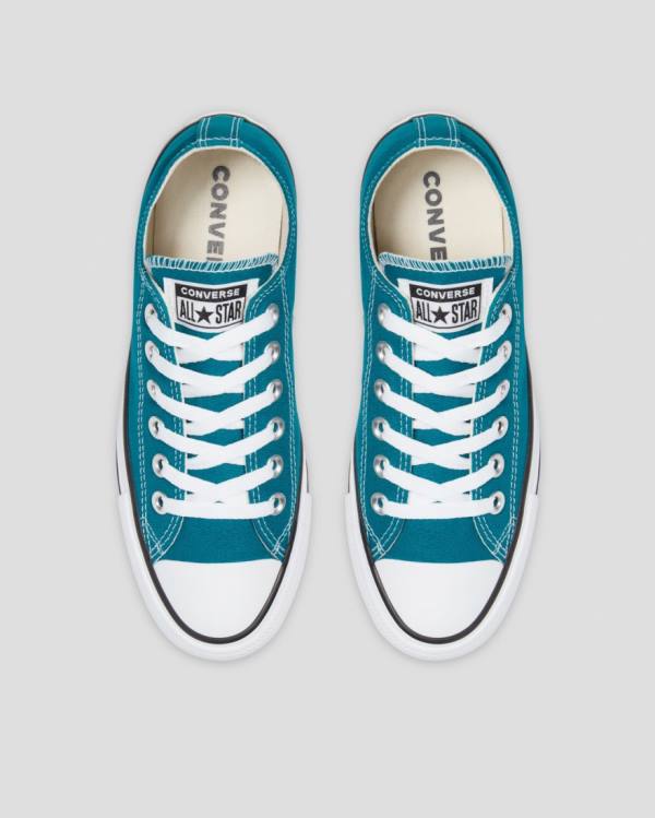 Converse Chuck Taylor All Star Seasonal Sneakers Low Blå | CV-182AQB