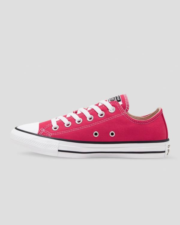 Converse Chuck Taylor All Star Seasonal Colour Sneakers Low Lyserød | CV-328FUQ