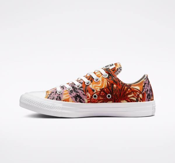 Converse Chuck Taylor All Star Tropical Florals Sneakers Low Orange Sort Hvide | CV-527KPD